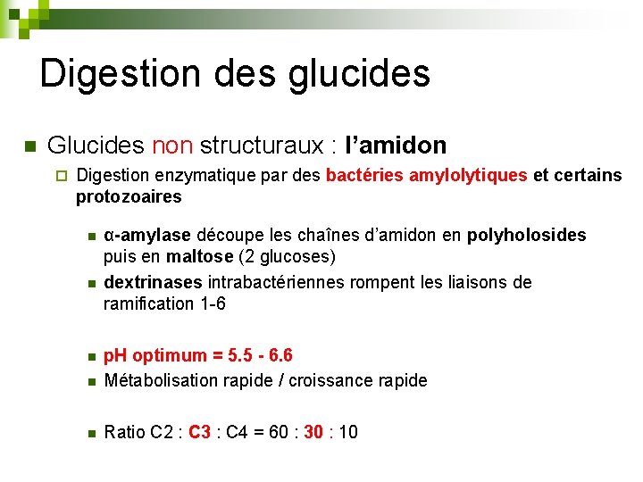 Digestion des glucides n Glucides non structuraux : l’amidon ¨ Digestion enzymatique par des