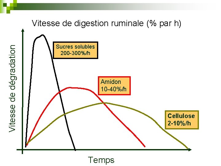 Vitesse de dégradation Vitesse de digestion ruminale (% par h) Sucres solubles 200 -300%/h