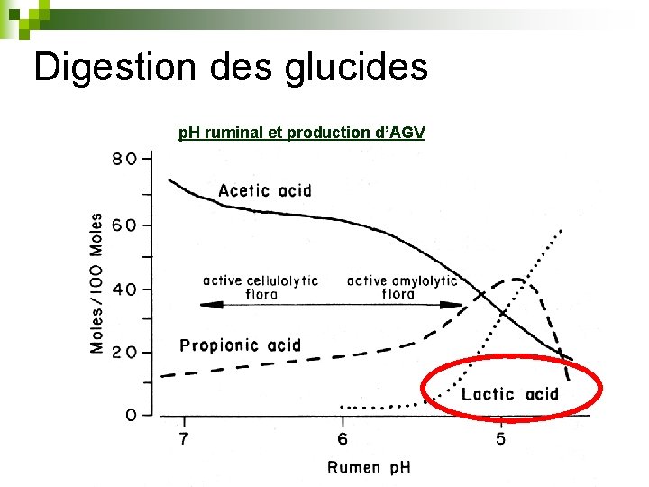 Digestion des glucides p. H ruminal et production d’AGV 