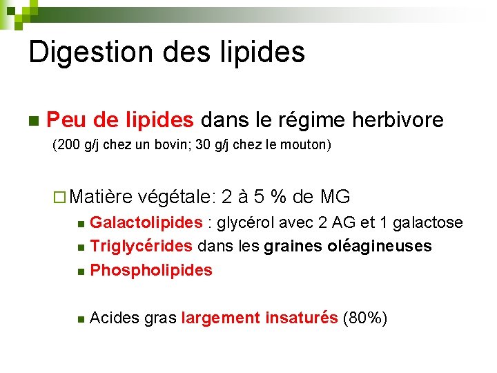 Digestion des lipides n Peu de lipides dans le régime herbivore (200 g/j chez