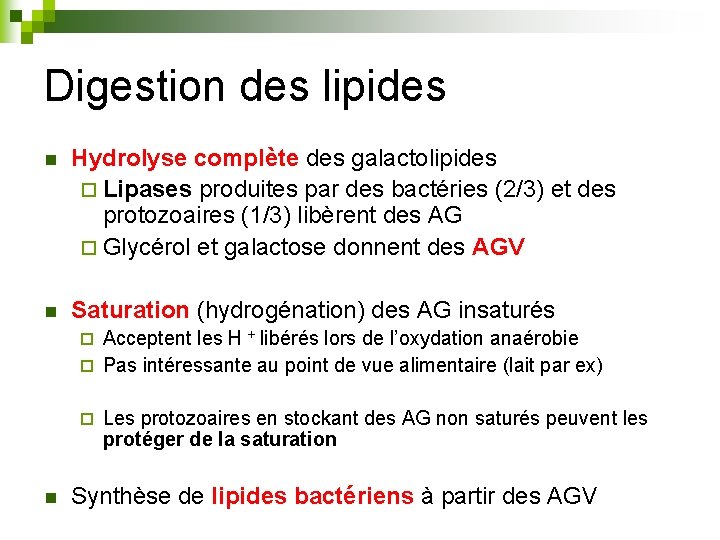 Digestion des lipides n Hydrolyse complète des galactolipides ¨ Lipases produites par des bactéries