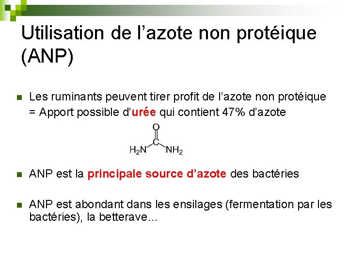 Utilisation de l’azote non protéique (ANP) n Les ruminants peuvent tirer profit de l’azote