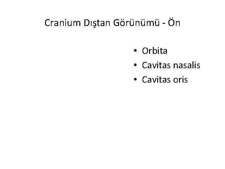 Cranium Dıştan Görünümü - Ön • Orbita • Cavitas nasalis • Cavitas oris 