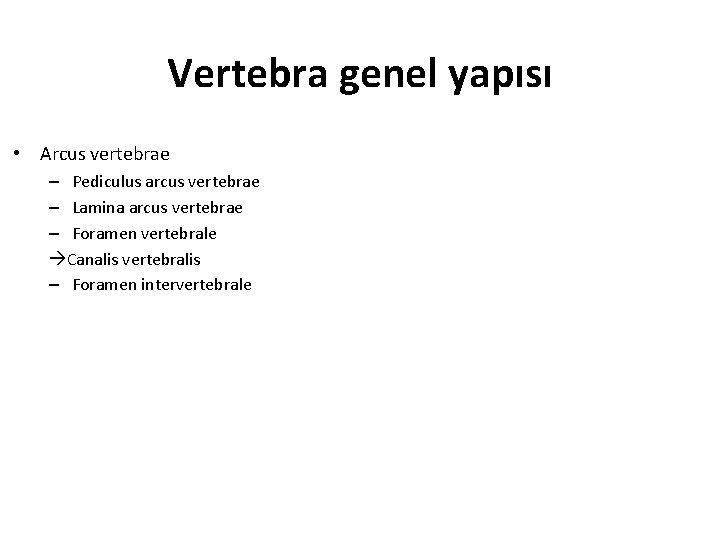 Vertebra genel yapısı • Arcus vertebrae – Pediculus arcus vertebrae – Lamina arcus vertebrae