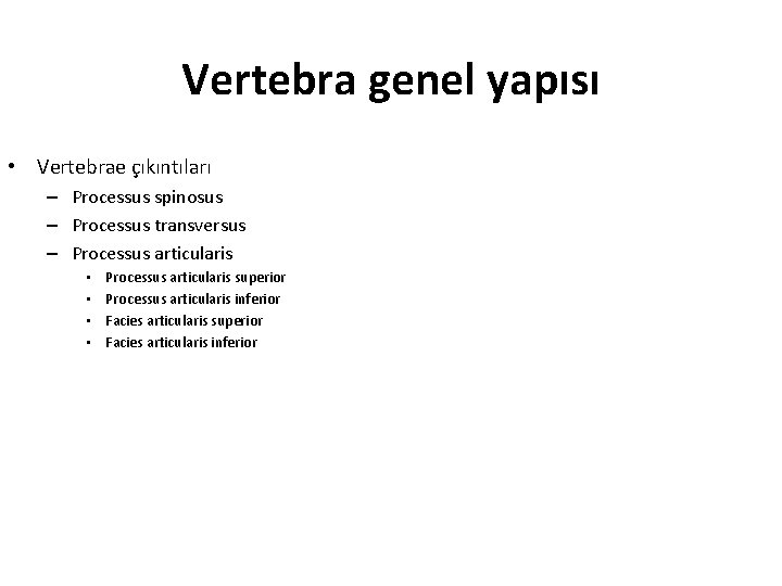 Vertebra genel yapısı • Vertebrae çıkıntıları – Processus spinosus – Processus transversus – Processus