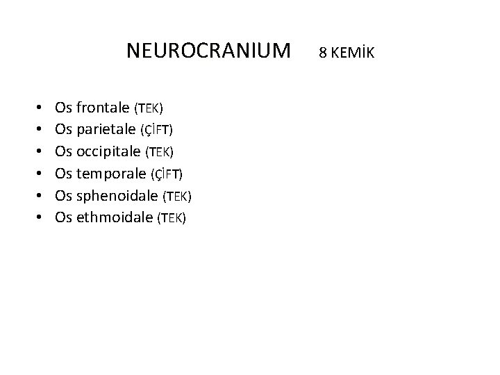 NEUROCRANIUM • • • Os frontale (TEK) Os parietale (ÇİFT) Os occipitale (TEK) Os