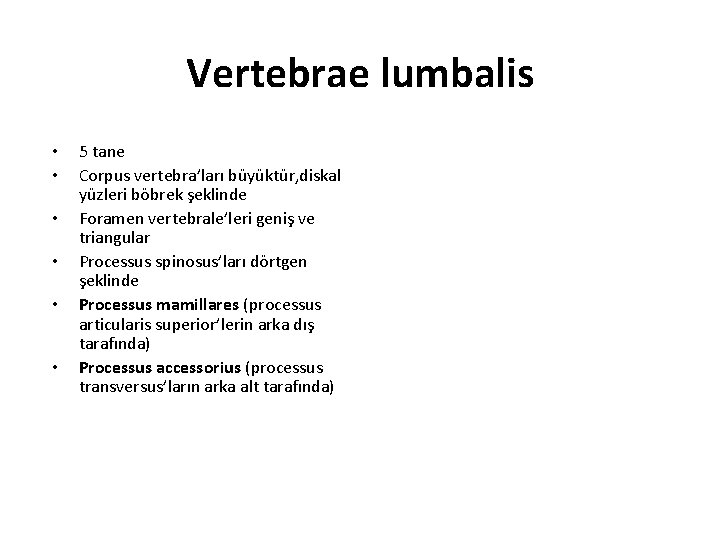 Vertebrae lumbalis • • • 5 tane Corpus vertebra’ları büyüktür, diskal yüzleri böbrek şeklinde