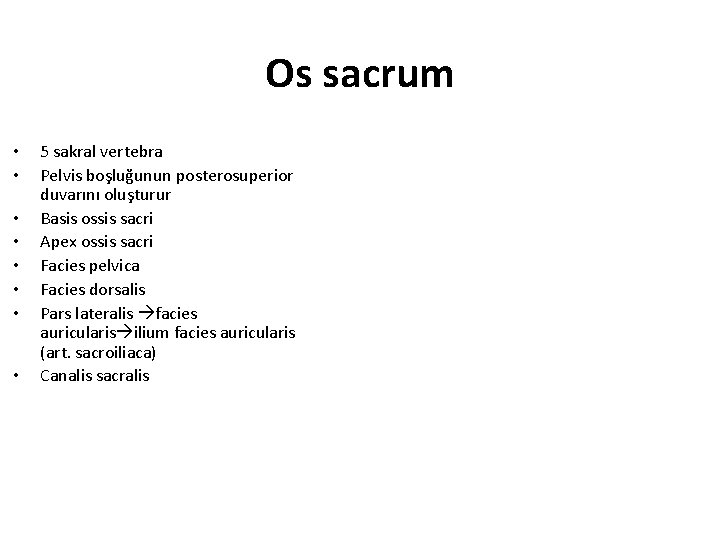 Os sacrum • • 5 sakral vertebra Pelvis boşluğunun posterosuperior duvarını oluşturur Basis ossis