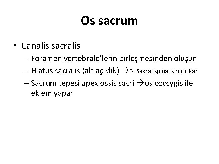 Os sacrum • Canalis sacralis – Foramen vertebrale’lerin birleşmesinden oluşur – Hiatus sacralis (alt