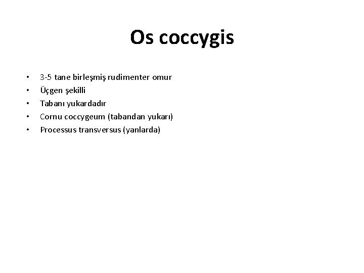 Os coccygis • • • 3 -5 tane birleşmiş rudimenter omur Üçgen şekilli Tabanı