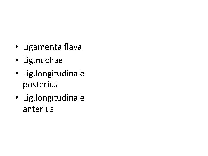  • Ligamenta flava • Lig. nuchae • Lig. longitudinale posterius • Lig. longitudinale