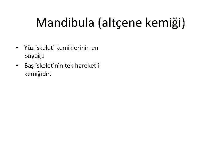 Mandibula (altçene kemiği) • Yüz iskeleti kemiklerinin en büyüğü • Baş iskeletinin tek hareketli