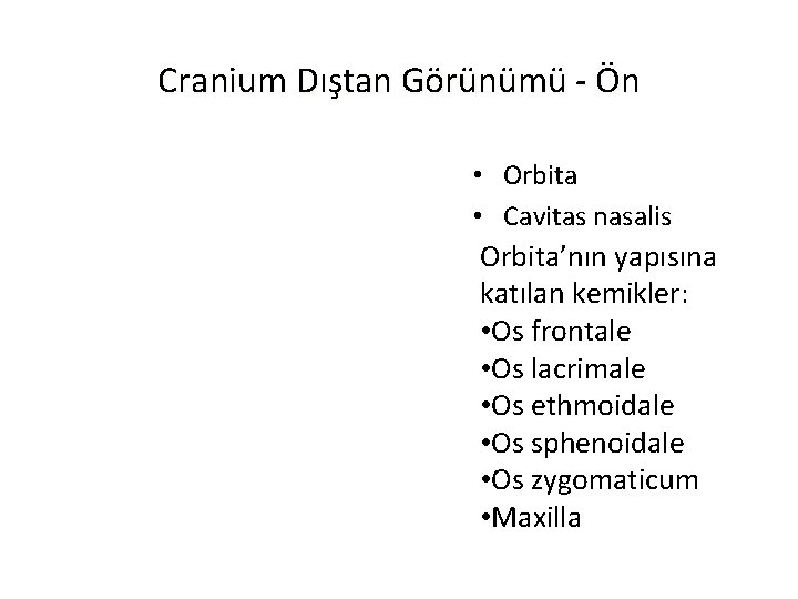 Cranium Dıştan Görünümü - Ön • Orbita • Cavitas nasalis Orbita’nın yapısına katılan kemikler: