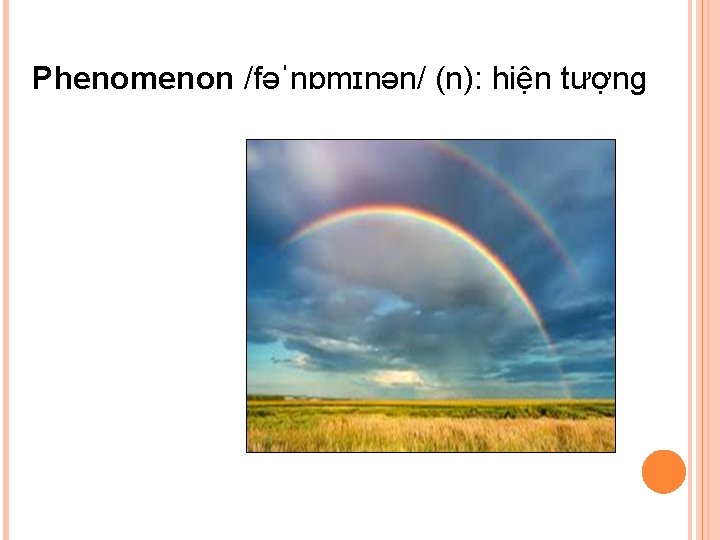 Phenomenon /fəˈnɒmɪnən/ (n): hiện tượng 