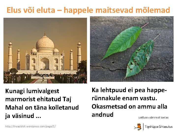 Elus või eluta – happele maitsevad mõlemad Kunagi lumivalgest marmorist ehitatud Taj Mahal on