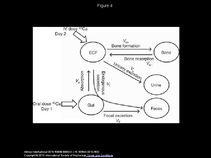 Figure 4 Kidney International 2013 83959 -966 DOI: (10. 1038/ki. 2012. 403) Copyright ©