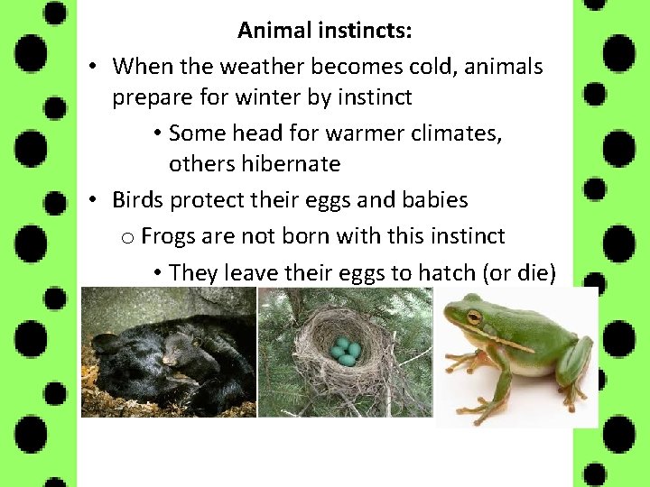 Animal instincts: • When the weather becomes cold, animals prepare for winter by instinct