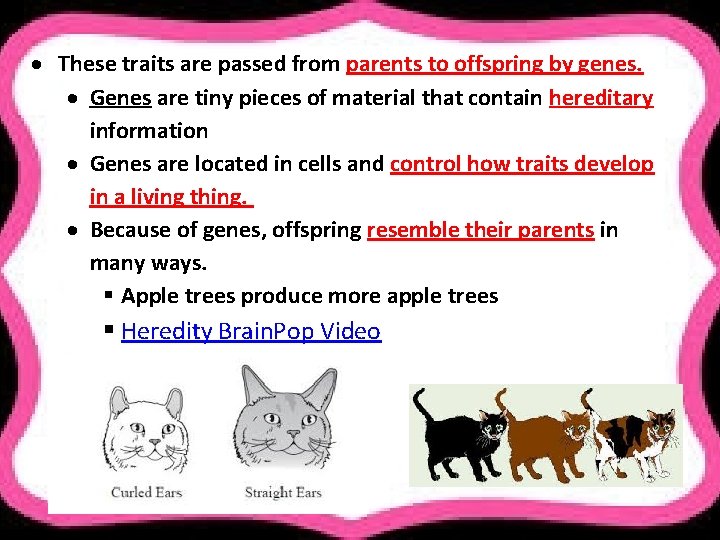  These traits are passed from parents to offspring by genes. Genes are tiny