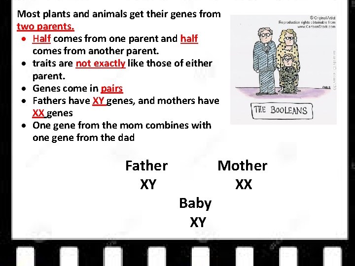  Most plants and animals get their genes from two parents. Half comes from