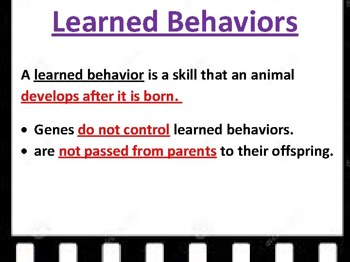 Learned Behaviors A learned behavior is a skill that an animal develops after it