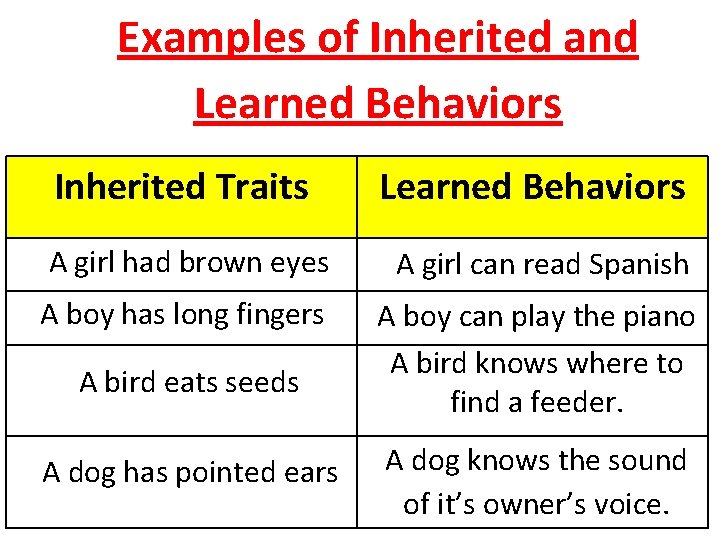 Examples of Inherited and Learned Behaviors Inherited Traits Learned Behaviors A girl had brown