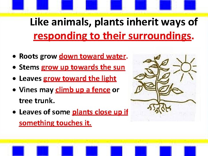 Like animals, plants inherit ways of responding to their surroundings. Roots grow down toward