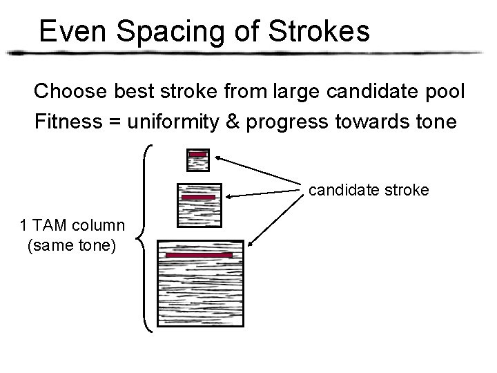 Even Spacing of Strokes Choose best stroke from large candidate pool Fitness = uniformity