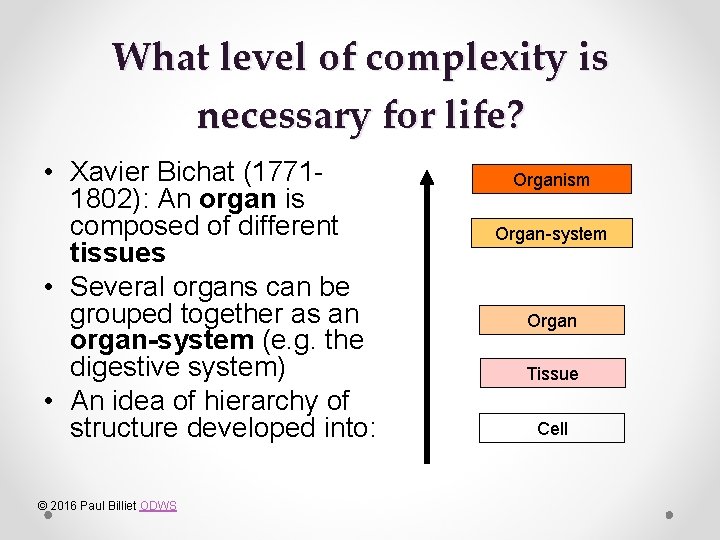 What level of complexity is necessary for life? • Xavier Bichat (17711802): An organ