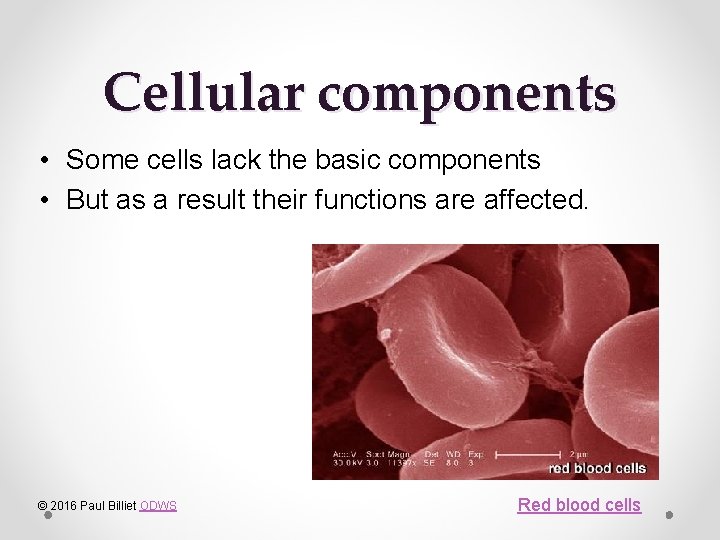 Cellular components • Some cells lack the basic components • But as a result