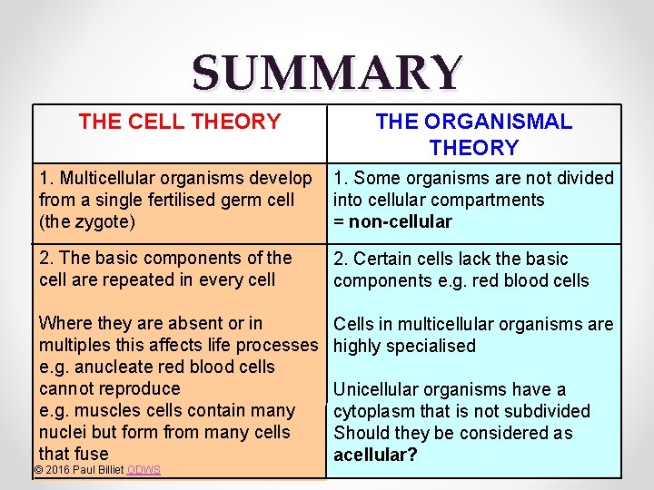 SUMMARY THE CELL THEORY THE ORGANISMAL THEORY 1. Multicellular organisms develop from a single