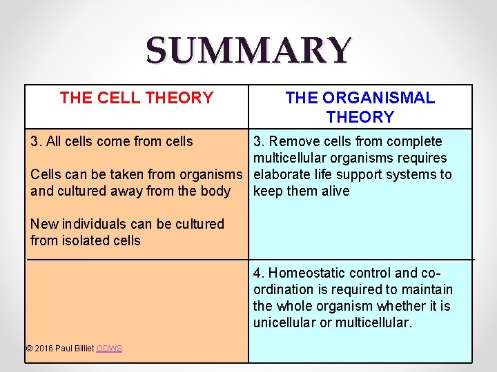 SUMMARY THE CELL THEORY THE ORGANISMAL THEORY 3. All cells come from cells 3.