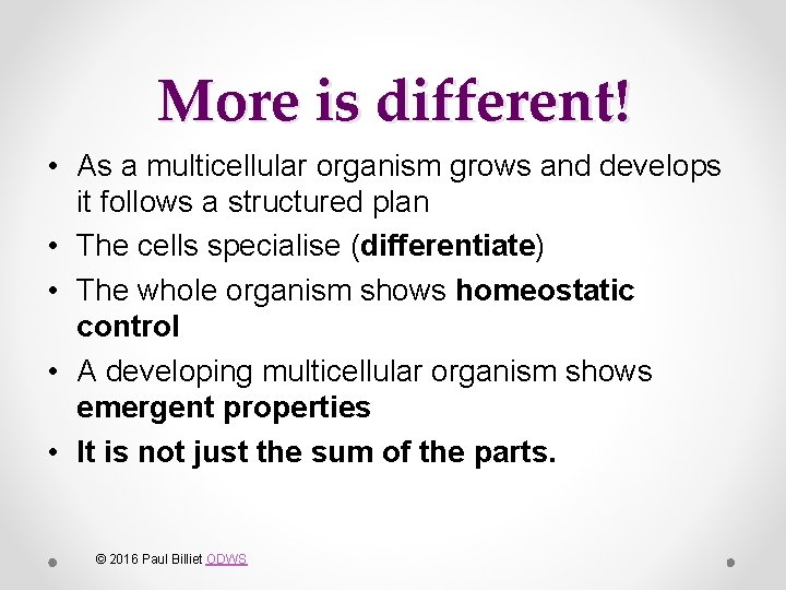 More is different! • As a multicellular organism grows and develops it follows a