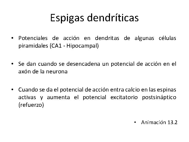 Espigas dendríticas • Potenciales de acción en dendritas de algunas células piramidales (CA 1