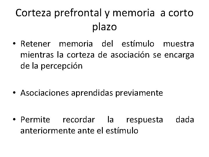 Corteza prefrontal y memoria a corto plazo • Retener memoria del estímulo muestra mientras