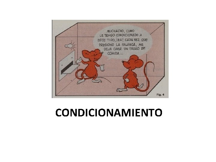 CONDICIONAMIENTO 