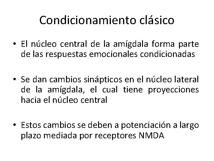 Condicionamiento clásico • El núcleo central de la amígdala forma parte de las respuestas
