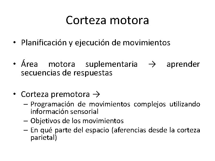 Corteza motora • Planificación y ejecución de movimientos • Área motora suplementaria secuencias de