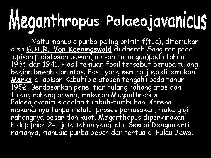 Yaitu manusia purba paling primitif(tua), ditemukan oleh G. H. R. Von Koeningswald di daerah