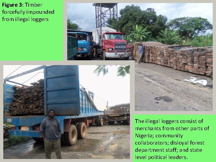 Figure 3: Timber forcefully impounded from illegal loggers The illegal loggers consist of merchants Figure 3: Timber forcefully impounded from illegal loggers The illegal loggers consist of merchants