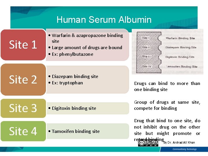 Human Serum Albumin Site 1 • Warfarin & azapropazone binding site • Large amount