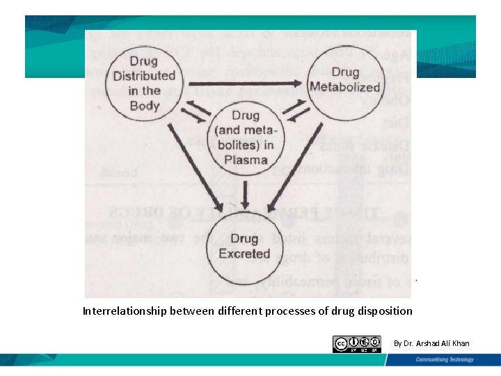 Interrelationship between different processes of drug disposition By Dr. Arshad Ali Khan 