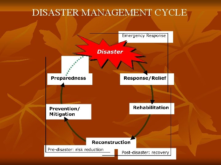 DISASTER MANAGEMENT CYCLE 