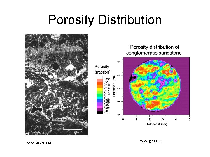 Porosity Distribution www. kgs. ku. edu www. geus. dk 