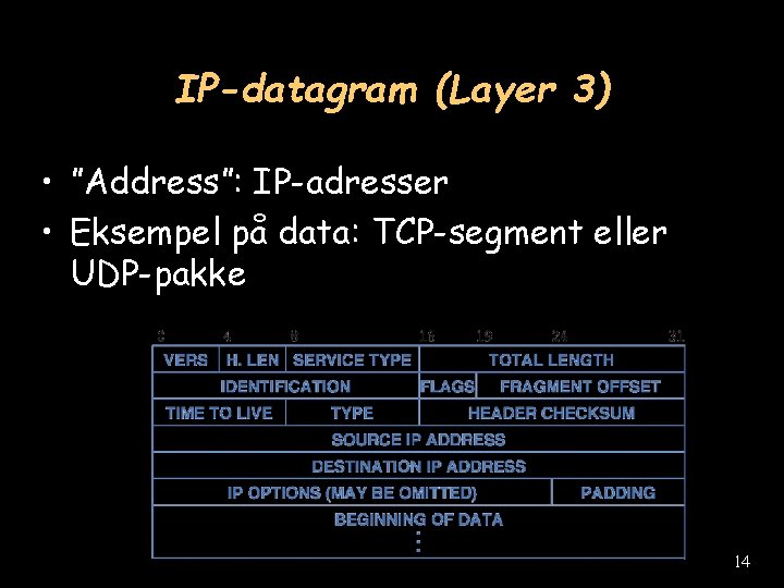 IP-datagram (Layer 3) • ”Address”: IP-adresser • Eksempel på data: TCP-segment eller UDP-pakke 14
