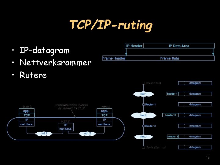 TCP/IP-ruting • IP-datagram • Nettverksrammer • Rutere 16 
