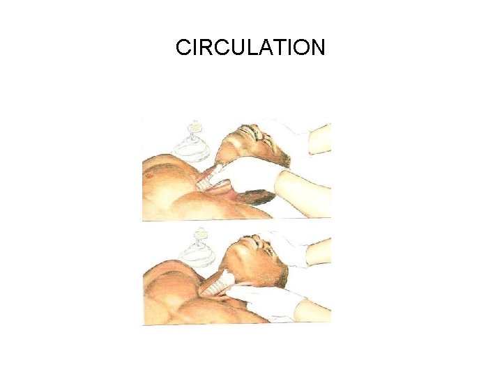 CIRCULATION 