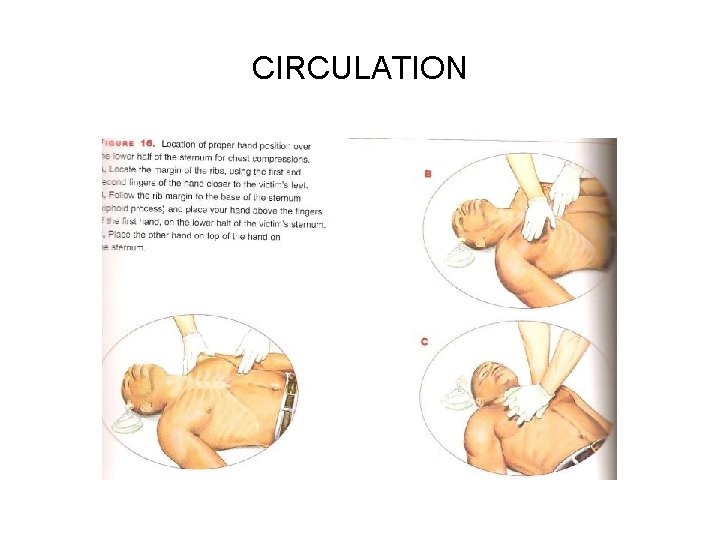 CIRCULATION 
