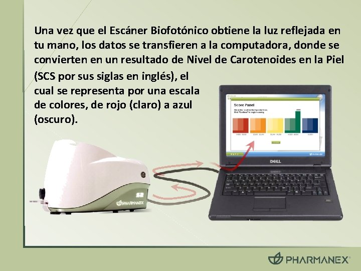 Una vez que el Escáner Biofotónico obtiene la luz reflejada en tu mano, los