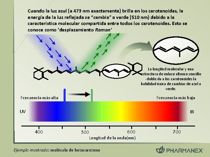 Cuando la luz azul (a 473 nm exactamente) brilla en los carotenoides, la energía