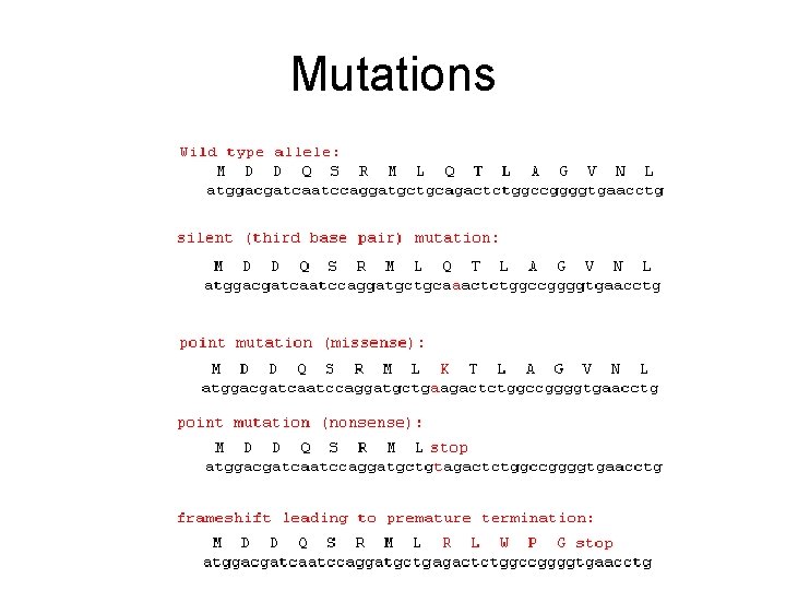 Mutations 